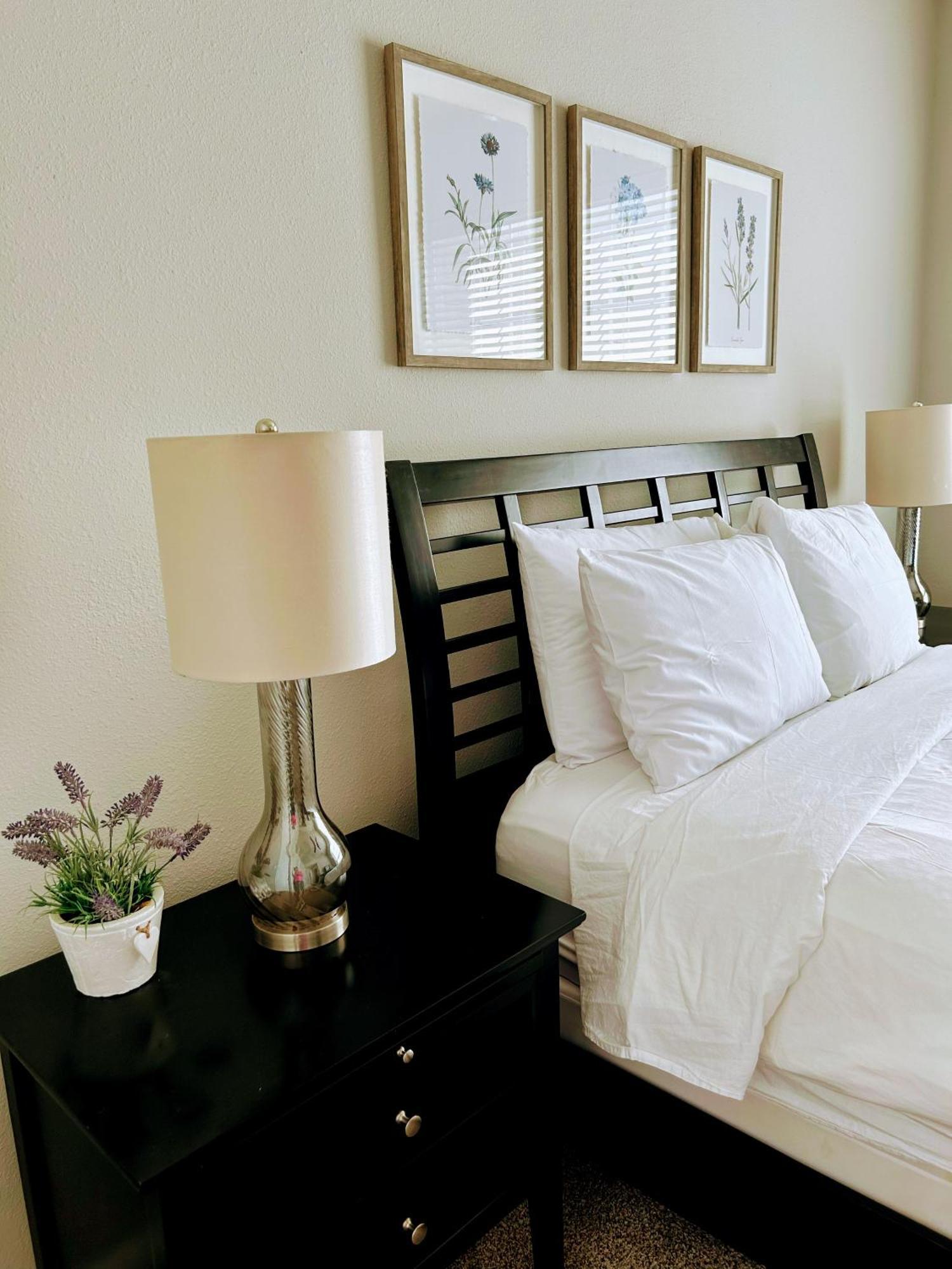 Hidden Gem At Med Center 2Br & 2Ba Apartment Houston Exterior photo